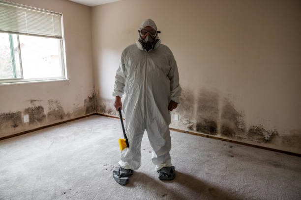 Best Home Mold Removal  in Sand Point, AK
